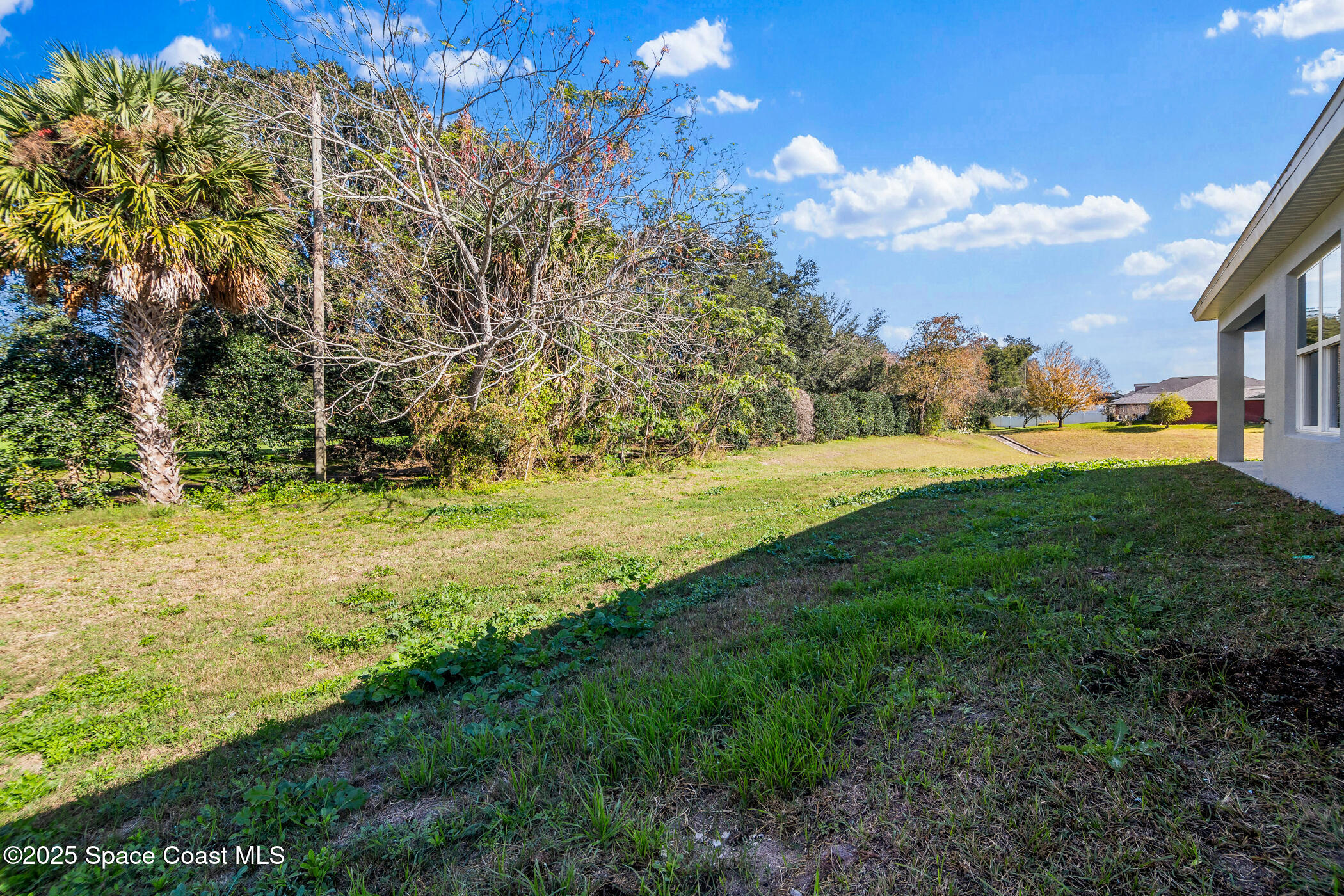 5435 Southeast 91st Street Ocala, FL 34480 - Photo 44 of 44 a view of yard with swimming pool and green space