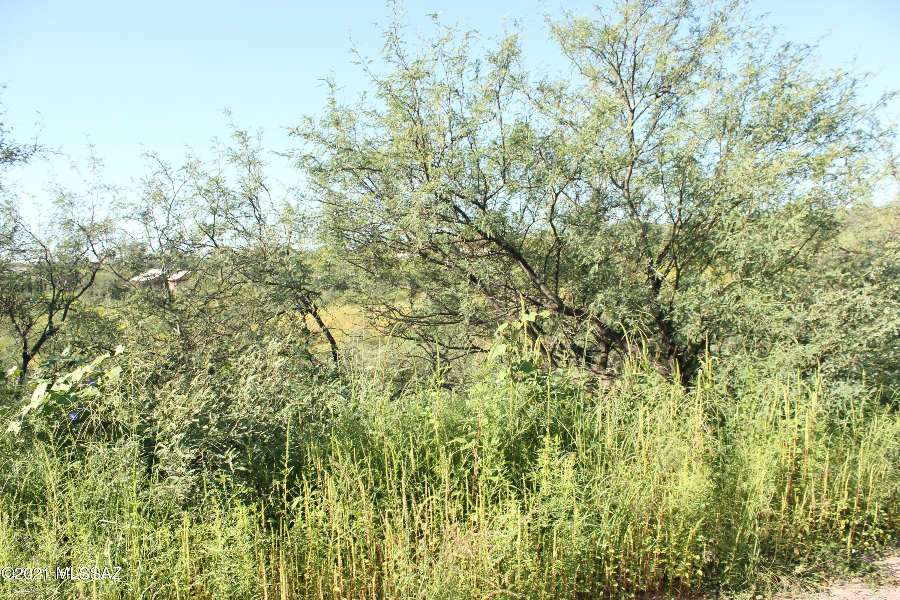 965 Via Puebla, Unit 62 Rio Rico, AZ 85648 - Photo 4 of 4