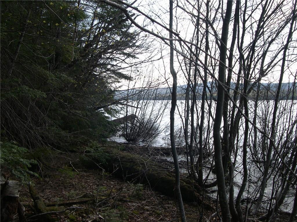 waterfront view