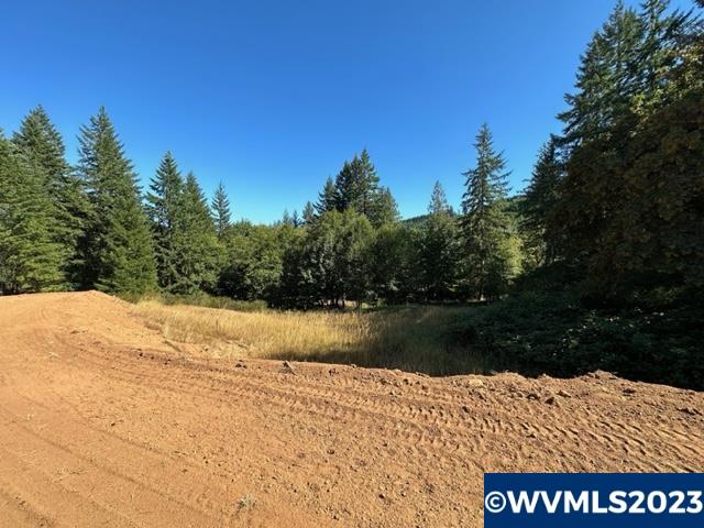526258 Southwest Pumpkinseed Road Willamina, OR 97396 - Photo 11 of 24