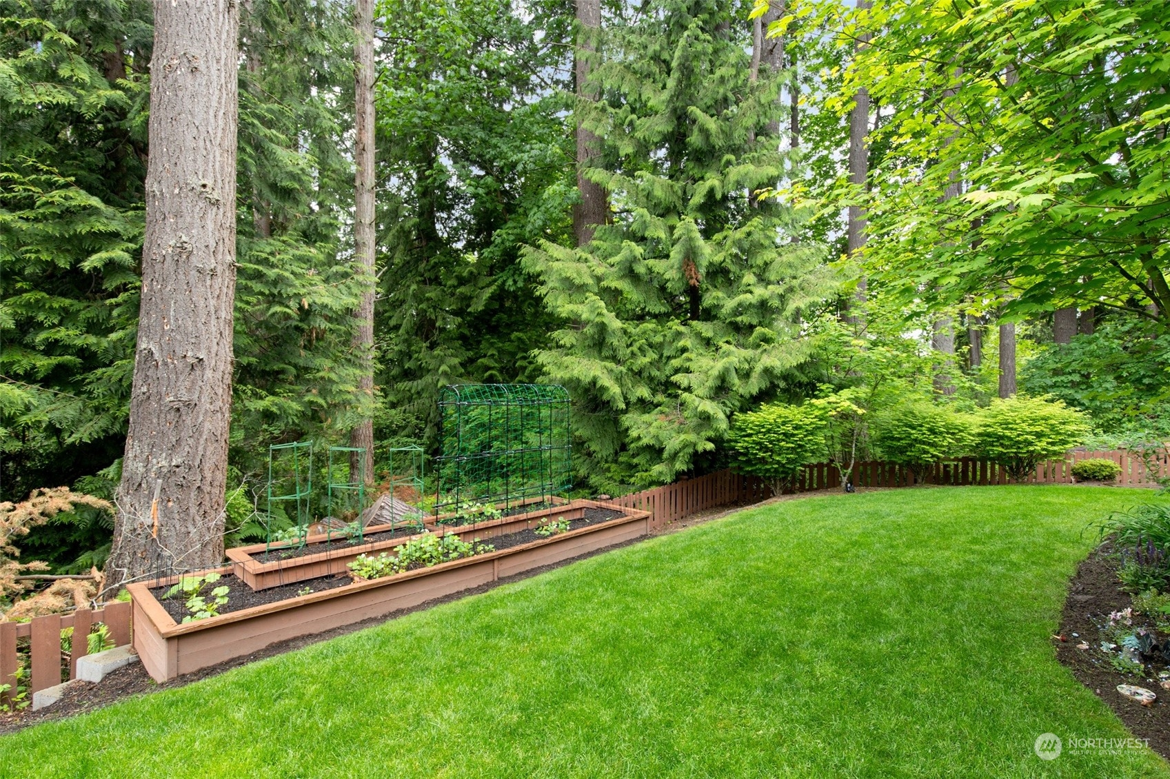 1607 233rd Street Southeast Bothell, WA 98021 - Photo 38 of 40 a view of a park with a tree in the park