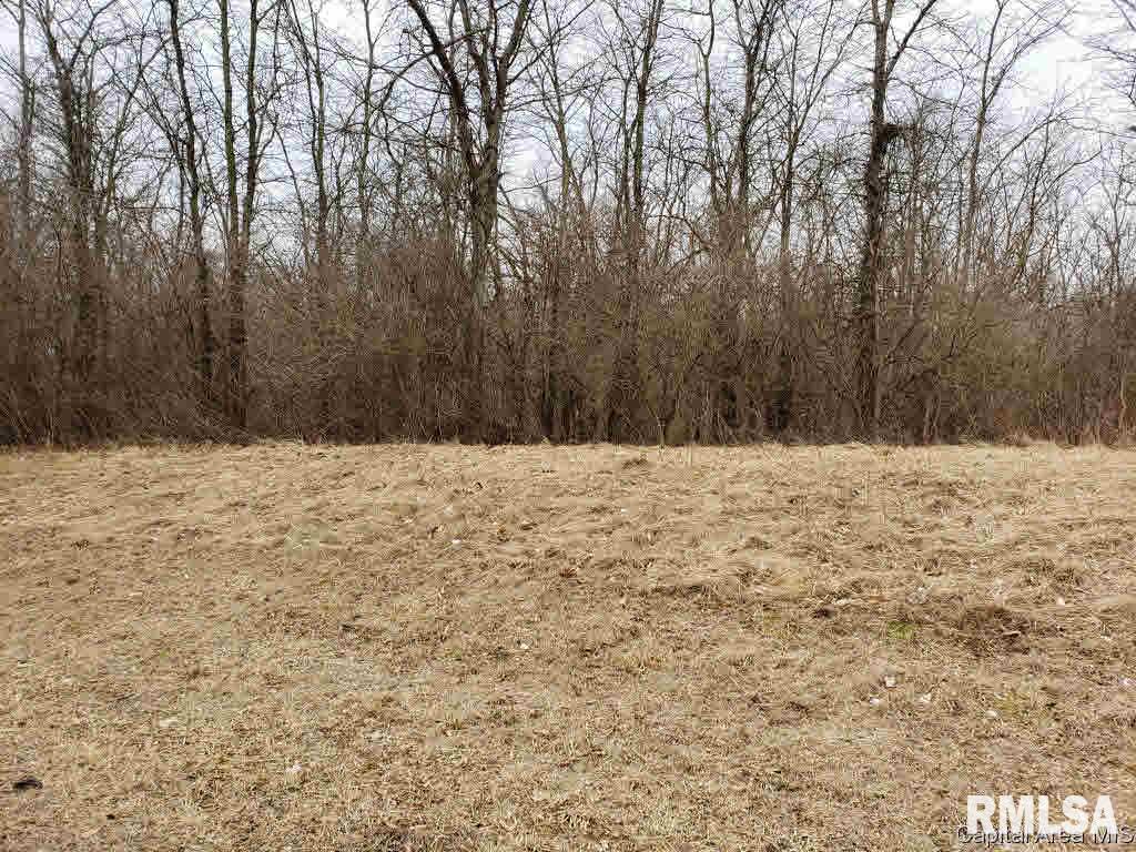 808 Timber Ridge Road Mechanicsburg, IL 62545 - Photo 1 of 14 Gallery Image 1