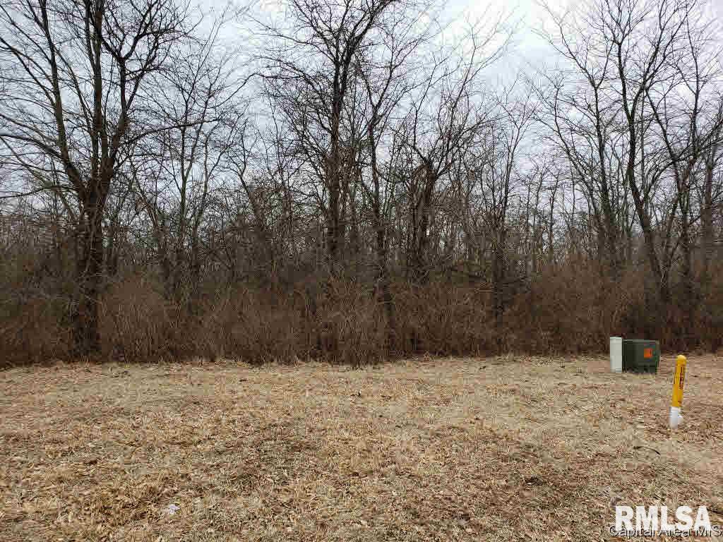 808 Timber Ridge Road Mechanicsburg, IL 62545 - Photo 3 of 14 Gallery Image 3