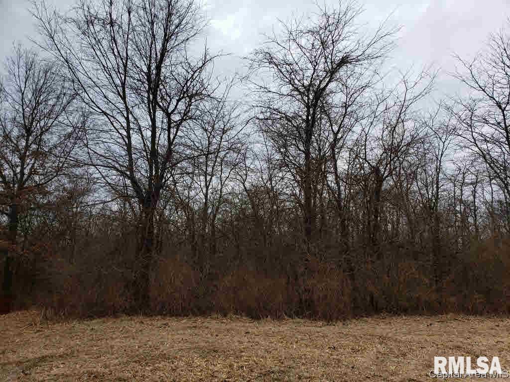 808 Timber Ridge Road Mechanicsburg, IL 62545 - Photo 4 of 14 Gallery Image 4