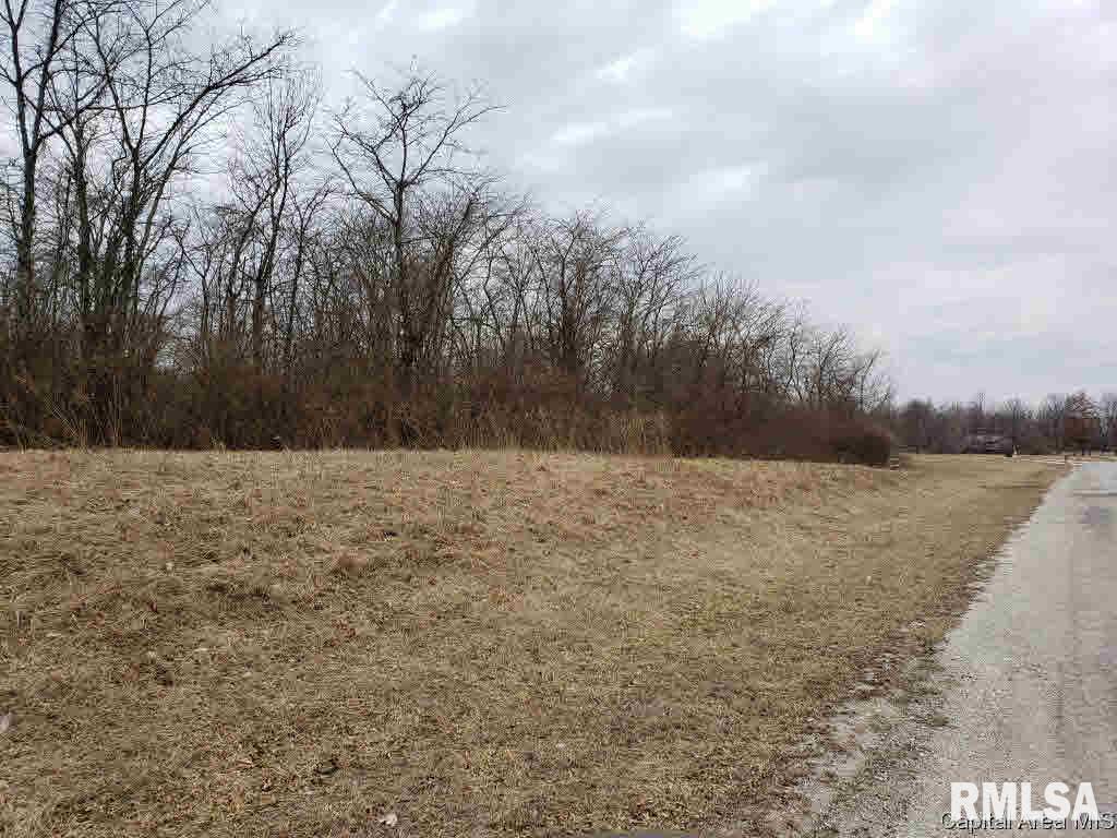 808 Timber Ridge Road Mechanicsburg, IL 62545 - Photo 5 of 14 Gallery Image 5