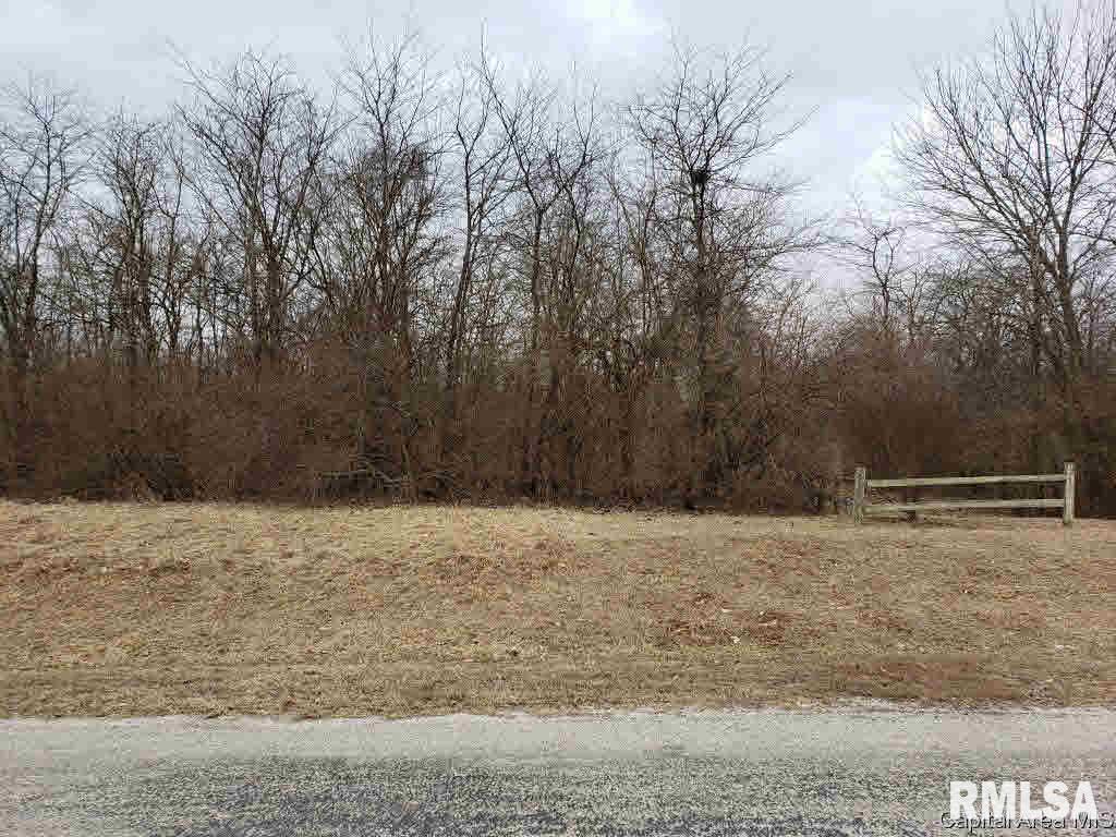 808 Timber Ridge Road Mechanicsburg, IL 62545 - Photo 6 of 14 Gallery Image 6