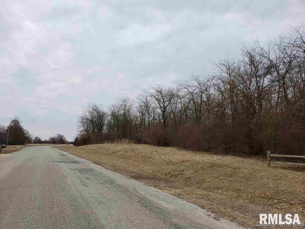 808 Timber Ridge Road Mechanicsburg, IL 62545 - Photo 7 of 14 Gallery Image 7