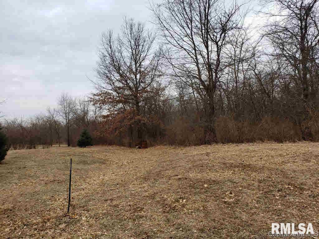 808 Timber Ridge Road Mechanicsburg, IL 62545 - Photo 8 of 14 Gallery Image 8