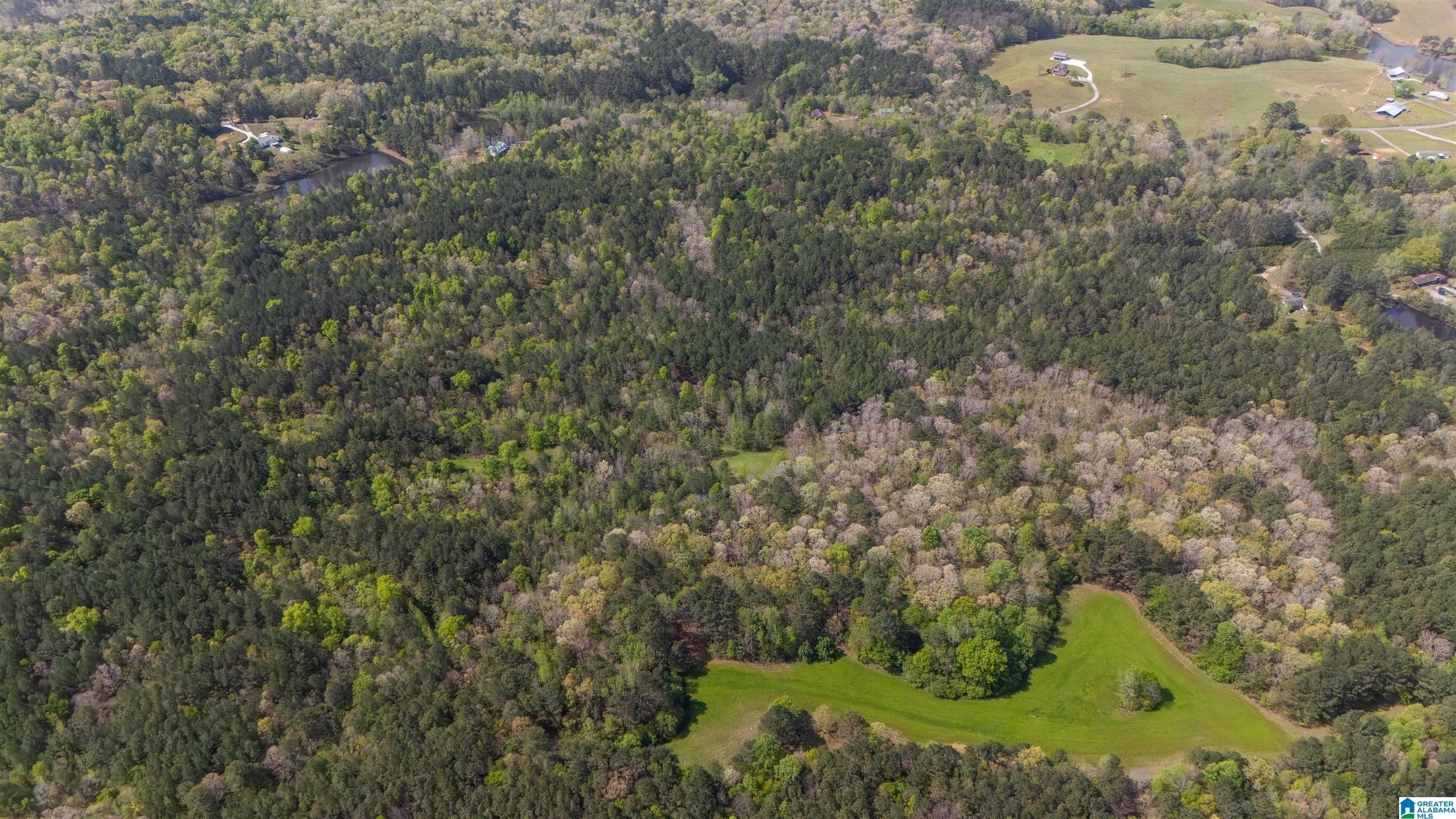 2121 Center Hill Road Trafford, AL 35172 - Photo 46 of 100