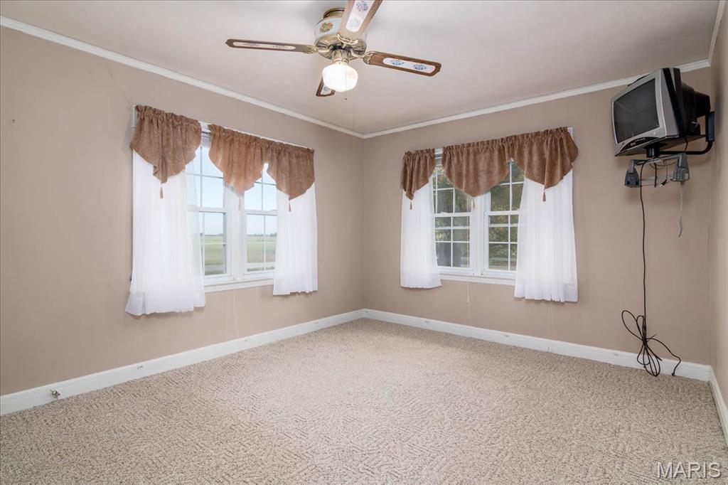 22106 Hammel Road Carlyle, IL 62231 - Photo 18 of 48