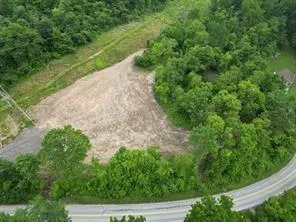 a view of a yard with plants