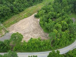 a view of a yard with plants