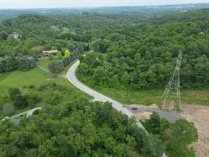 a view of a green yard with large trees