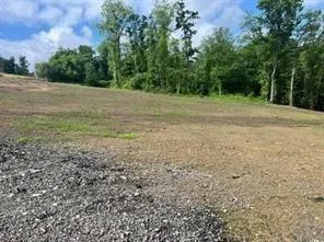 a view of a field with trees in background