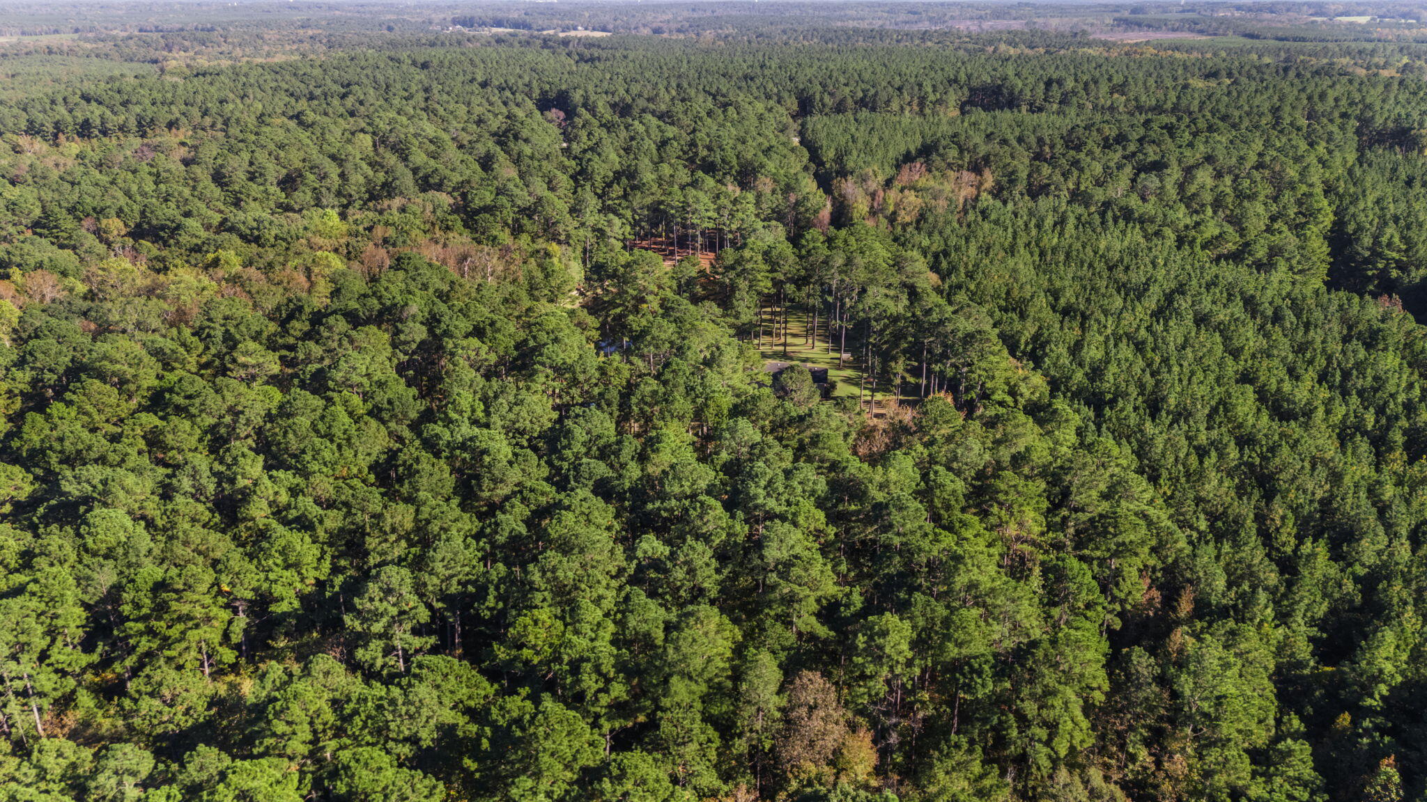 1741 West Byp Road Thomson, GA 30824 - Photo 8 of 39 8-web-or-mls-DJI_20251020161303_0184_D