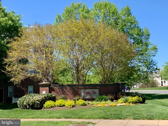 a view of a back yard