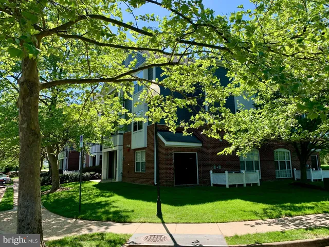 a tree in front of a house with a garden