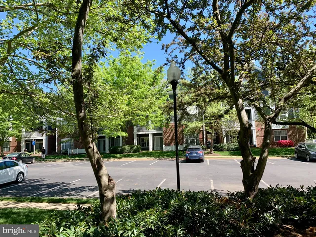 a park with lots of green space and trees