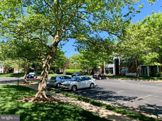 a row of car parked beside a road