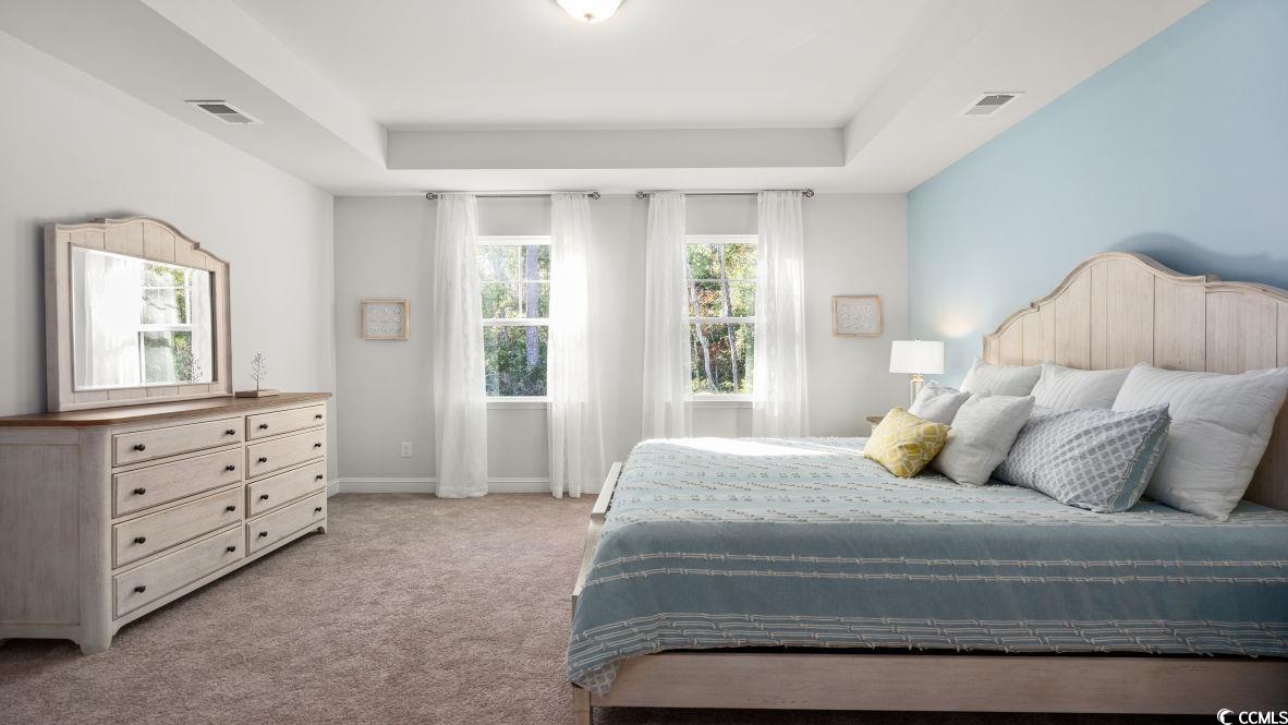 206 Bantry Lane Conway, SC 29526 - Photo 17 of 35