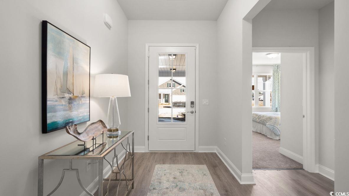 206 Bantry Lane Conway, SC 29526 - Photo 21 of 35