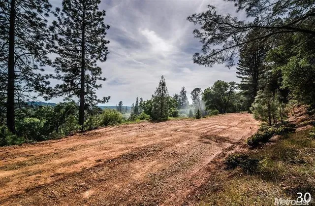 a big yard with lots of green space