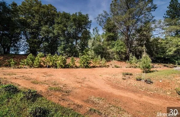 a view of a yard covered in snow
