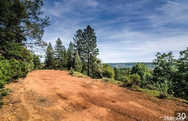 a view of a backyard of a house
