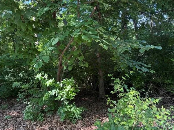 $55,000 | 691 Castlecliff Road, Ballwin, MO 63021