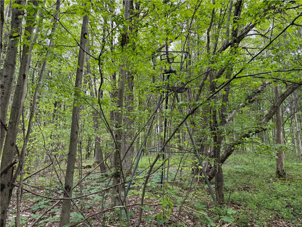 Vl Vl Lyndon Abbott Road Franklinville, NY 14737 - Photo 25 of 50