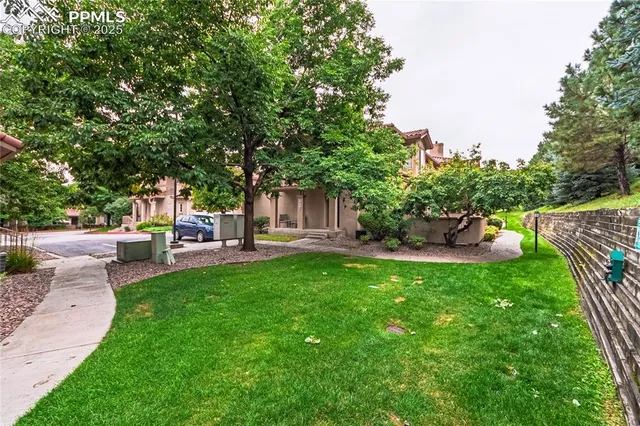 a view of a patio with table and chairs potted plants and large tree