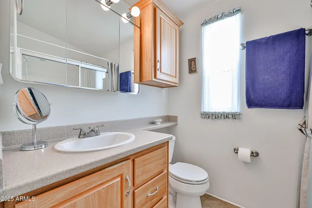 a bathroom with a sink a toilet and mirror
