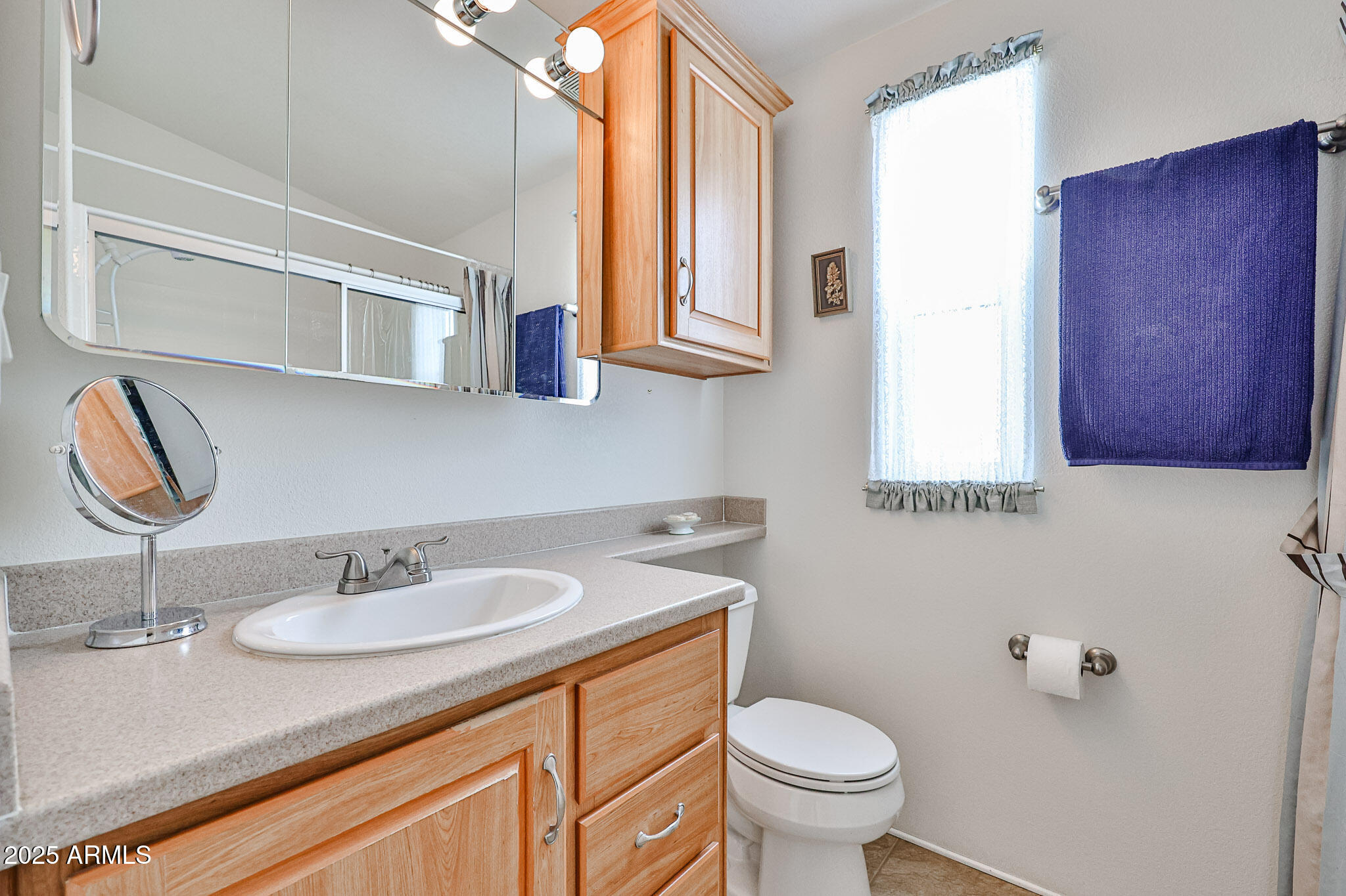 17200 West Bell Road, Unit 1185 Surprise, AZ 85374 - Photo 28 of 44 a bathroom with a sink a toilet and mirror