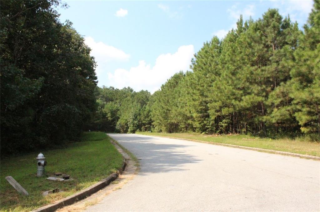 7699 Cheviot Drive Winston, GA 30187 - Photo 11 of 14