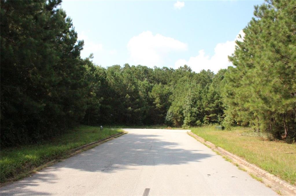 7699 Cheviot Drive Winston, GA 30187 - Photo 12 of 14