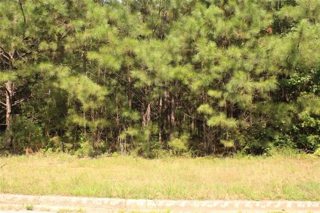 $60,000 | 7699 Cheviot Drive, Winston, GA 30187