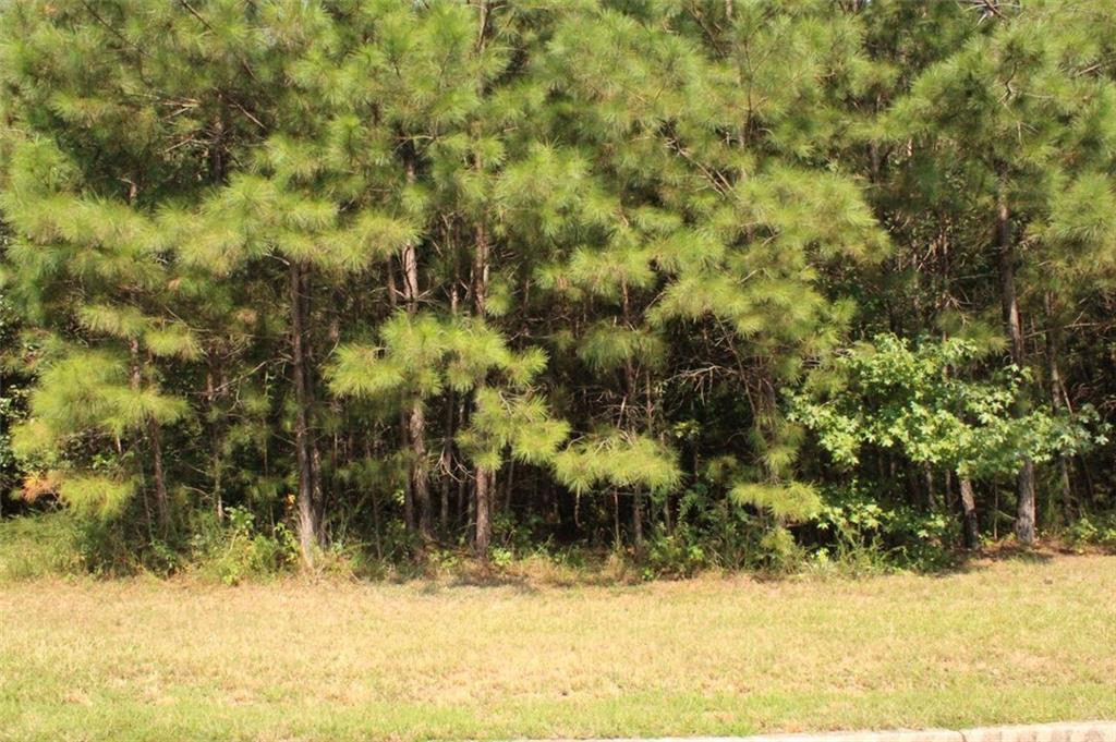 7699 Cheviot Drive Winston, GA 30187 - Photo 8 of 14