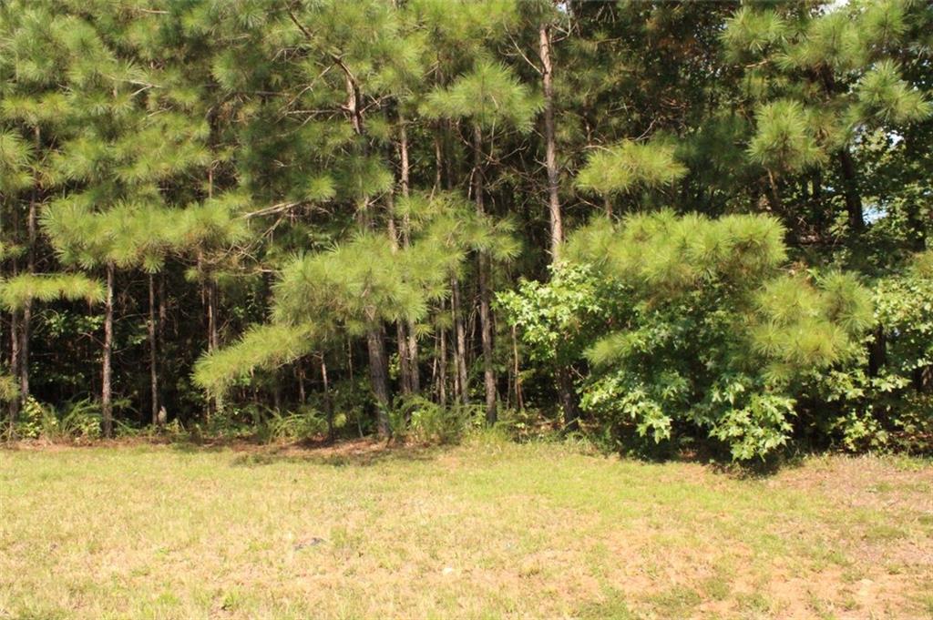 7699 Cheviot Drive Winston, GA 30187 - Photo 9 of 14