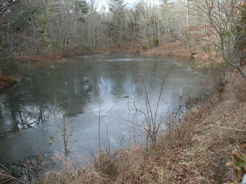 2653 Botetourt Road Fincastle, VA 24090 - Photo 14 of 15 2653 pond 2