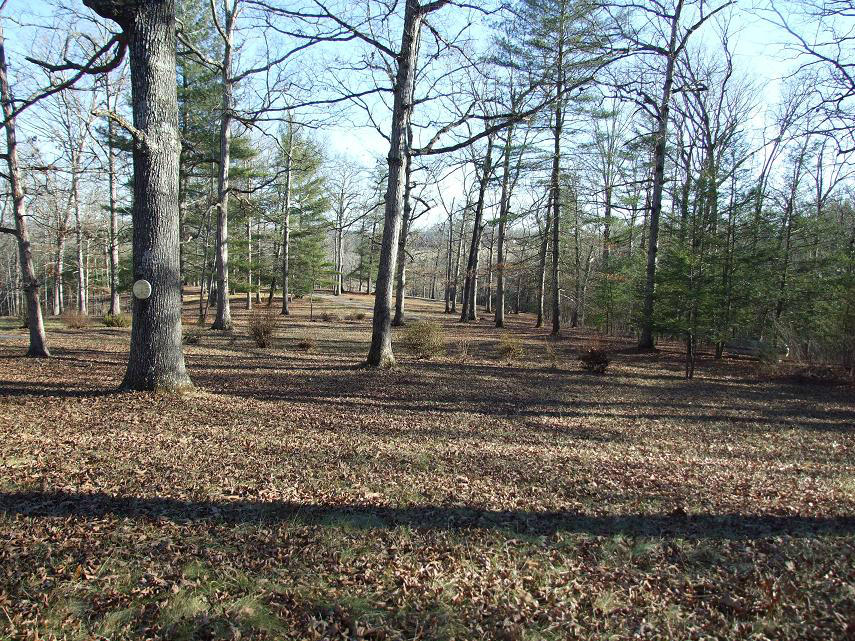 2653 Botetourt Road Fincastle, VA 24090 - Photo 3 of 15 2653 front yard