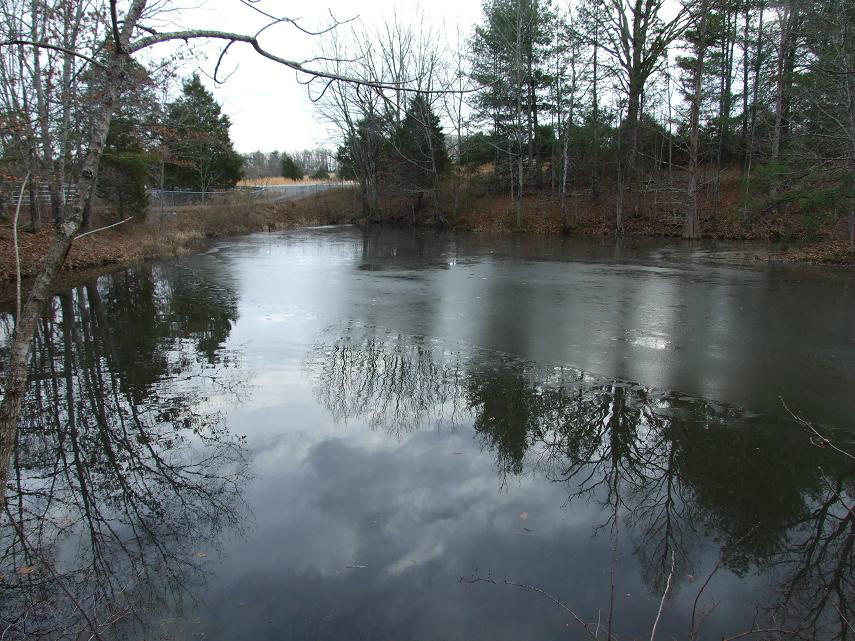 2653 Botetourt Road Fincastle, VA 24090 - Photo 4 of 15 2653 pond 1