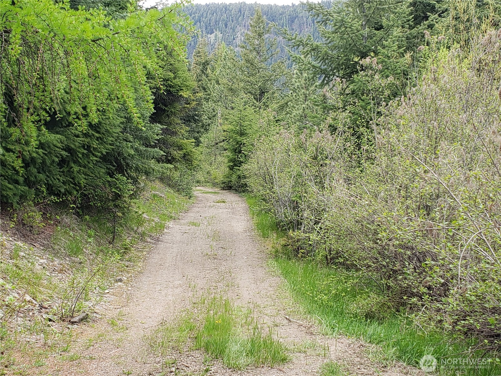 3300 F Road Cle Elum, WA 98922 - Photo 3 of 7 Gallery Image 3