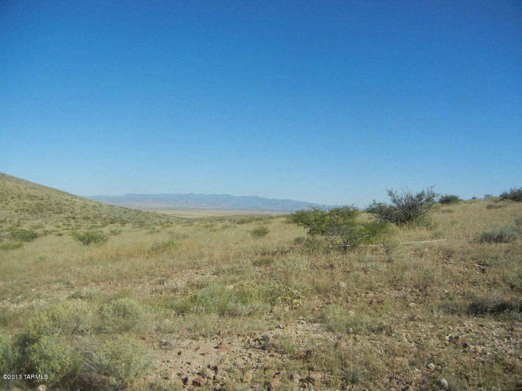 East Indian Ridge Road Pearce, AZ 85625 - Photo 21 of 24