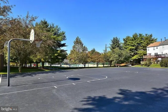 a view of a park with large trees