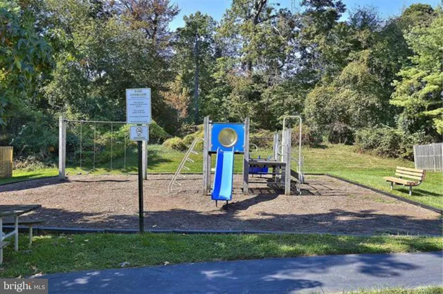 a view of a park that has large trees