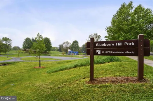 a view of park with swings and slides