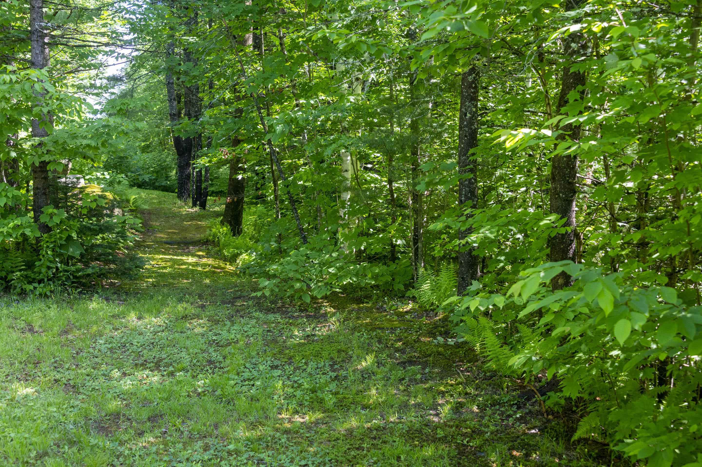 186 MacKenzie Road Worcester, VT 05682 - Photo 41 of 44