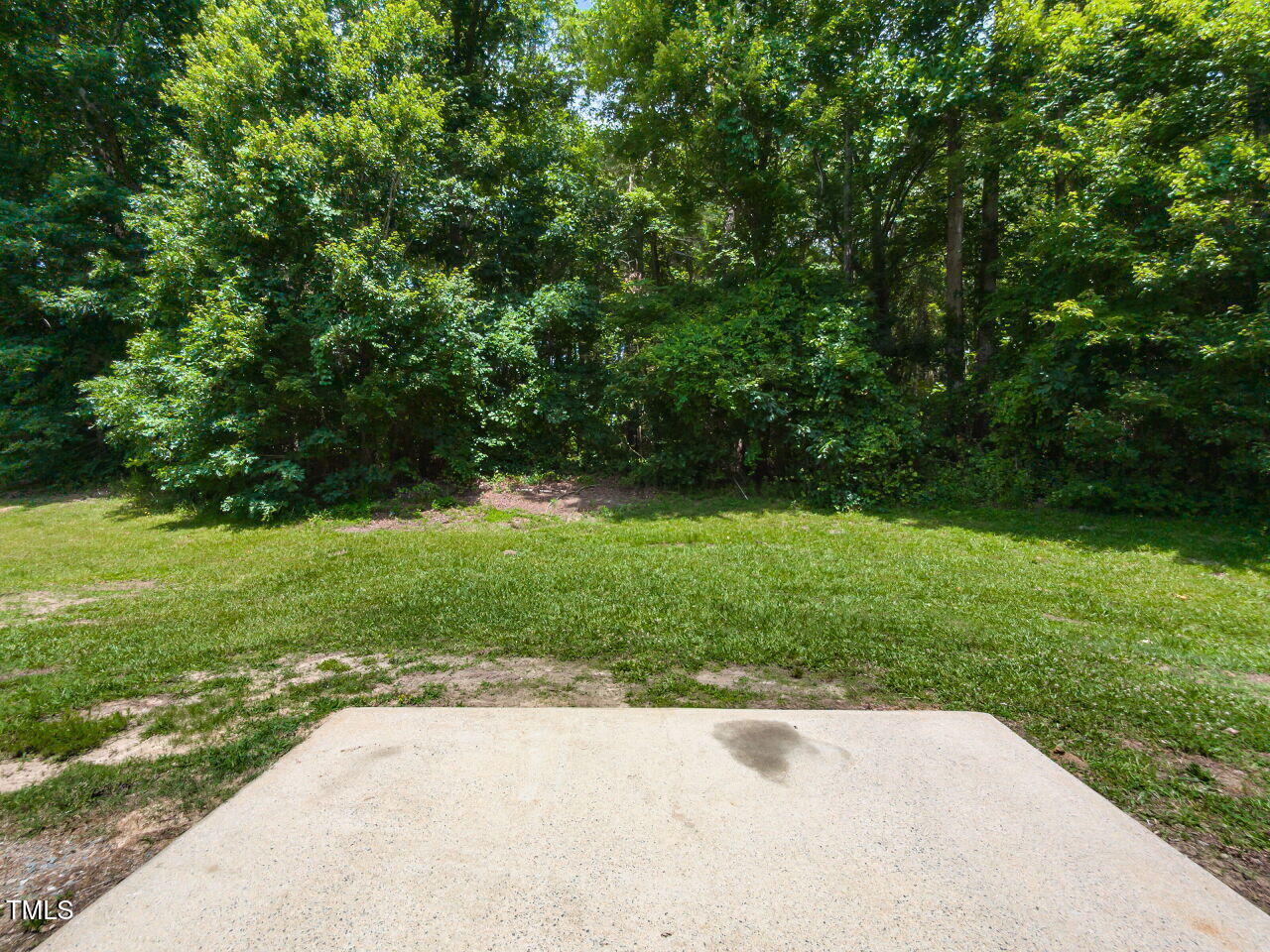 381 Gray Ghost Street Benson, NC 27504 - Photo 30 of 33 a view of backyard with green space