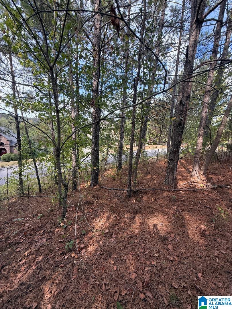 325 Deer Ridge Lane, Unit 29 Chelsea, AL 35043 - Photo 8 of 17