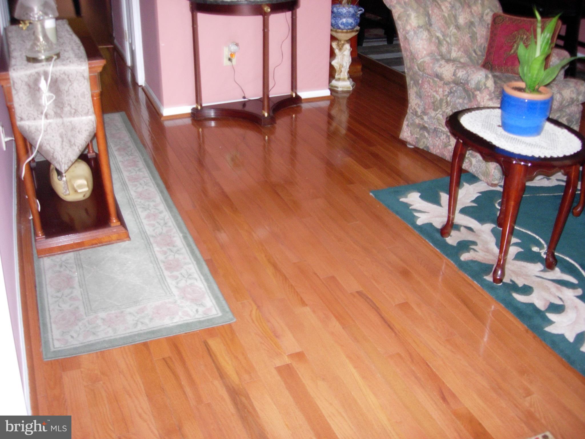 342 Scola Road Brookhaven, PA 19015 - Photo 19 of 19 Gallery Image 19